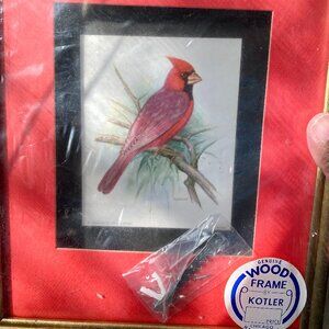 VTG Cardinal Bird PH Gönner Print Framed Kotler Chicago Edward Art Made in USA